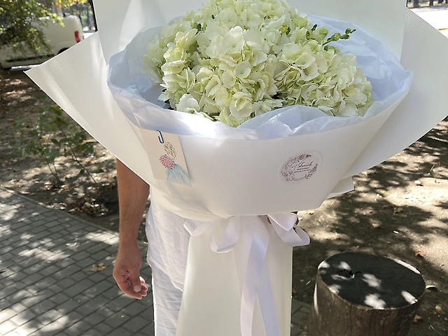 Гортензії та антирринум