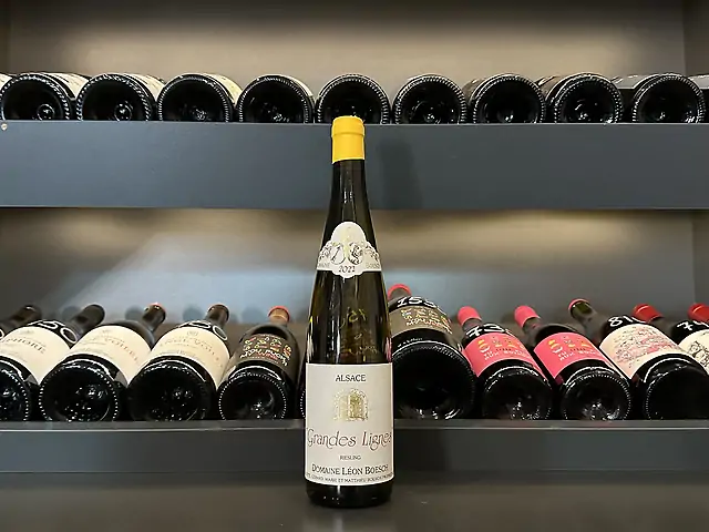 Leon Boesch, Les Grandes Lignes, Riesling, 2023 - Alsace