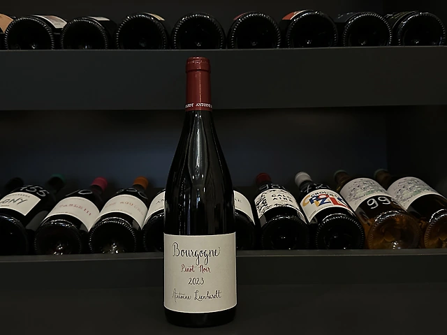 Antoine Lienhardt, Bourgogne Rouge, 2023 - Bourgogne