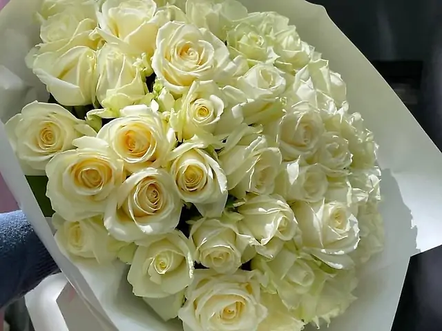 51 біла троянда 60 см