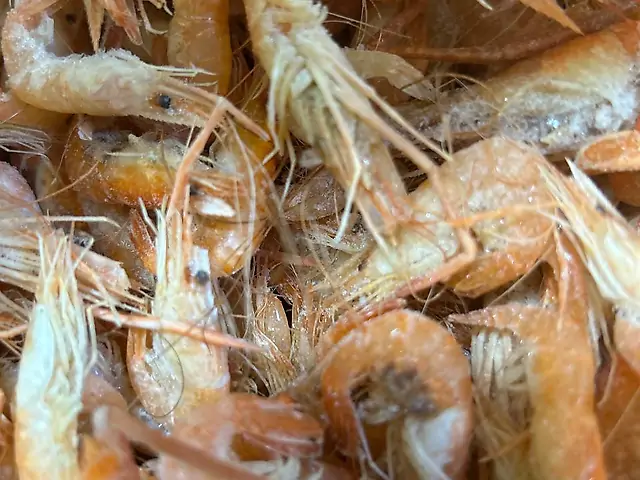 Рачки