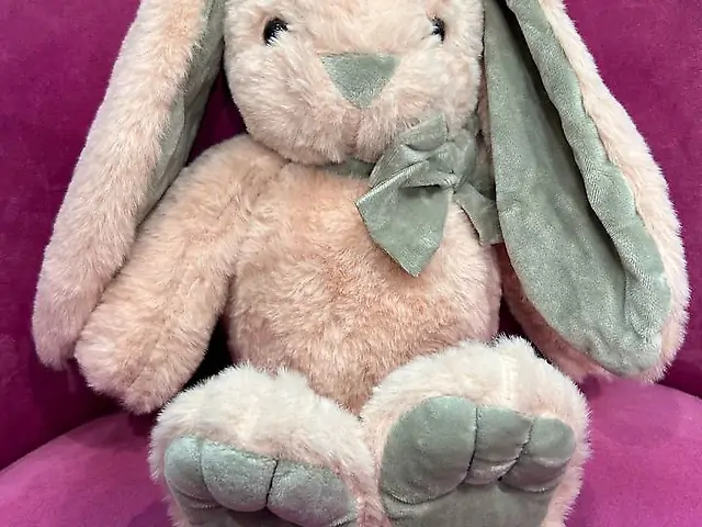 Пудровий зайчик