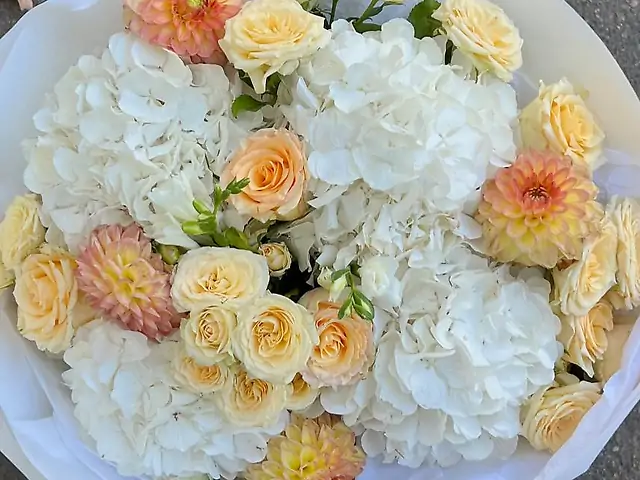 Медові обійми