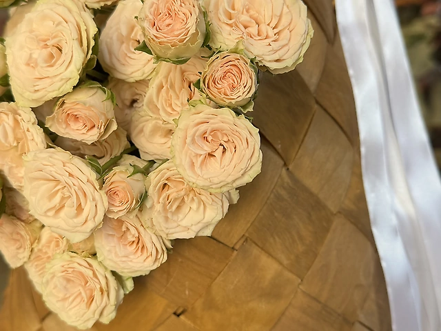 9 гілочок кущової троянди під стрічку