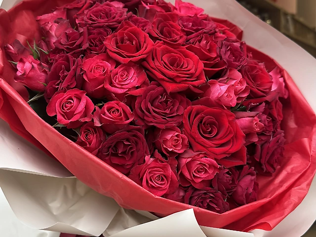 Мікс троянд