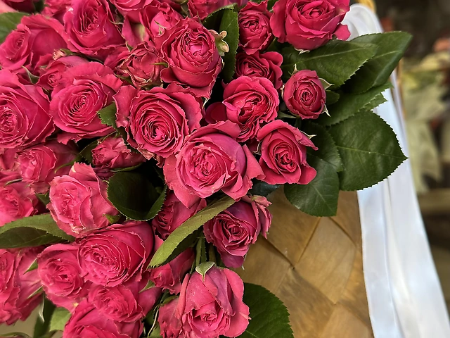 19 кущових троянд під стрічку