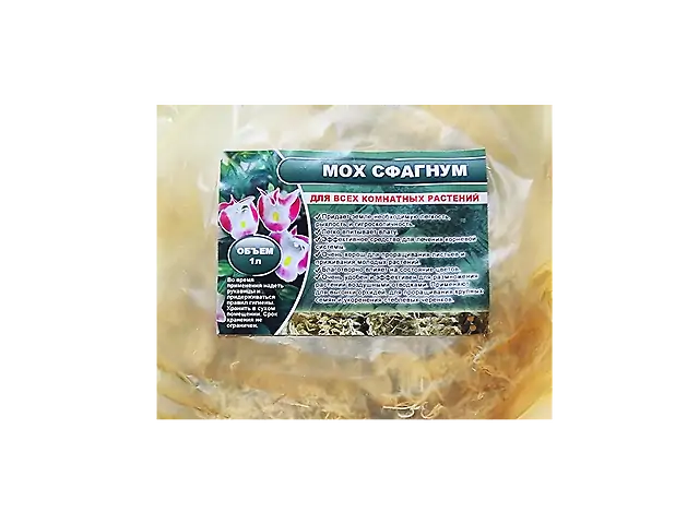 Мох сфагнум