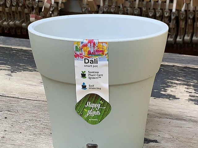 Горщик фісташковий