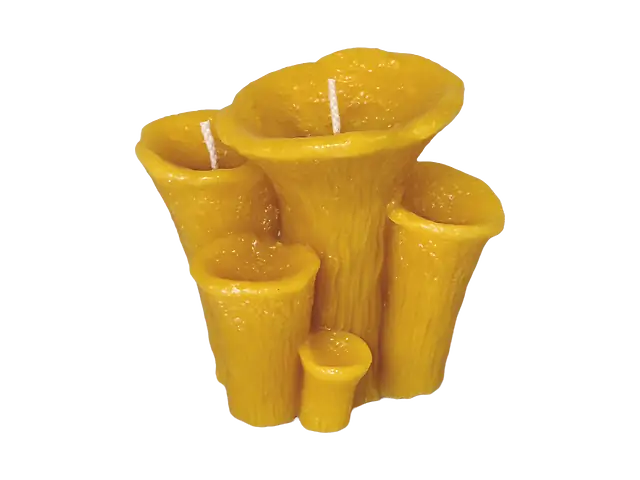 "Гомфус лускатий" свічка з бджолиного воску, натуральний