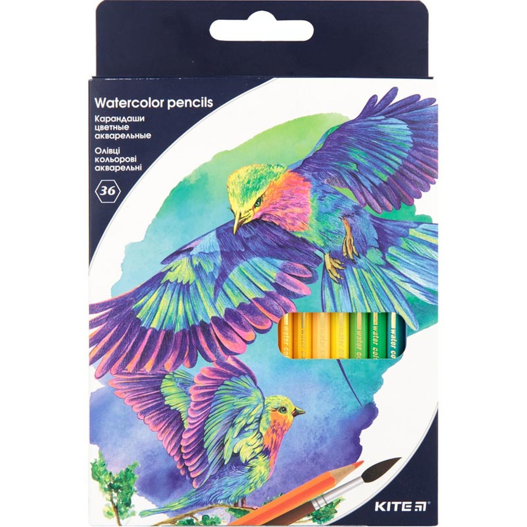 Олівці кольорові акварельні, 36 шт. Kite "Птахи"