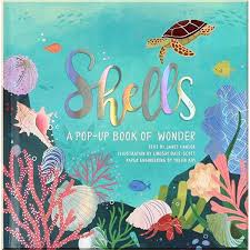 Shells A Pop-Up Book of Wonder