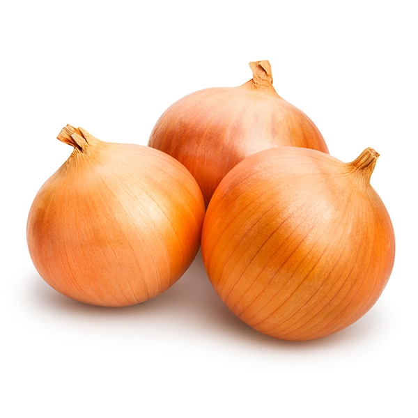 Цибуля ріпчаста