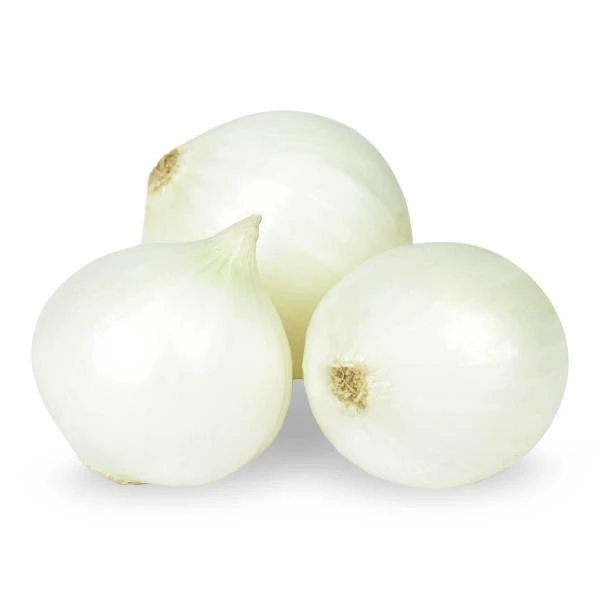 Цибуля біла