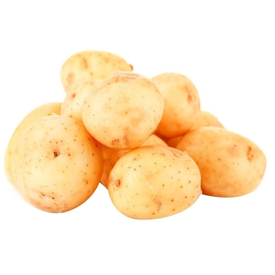 Картопля біла