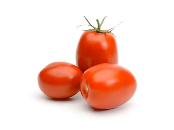 Помідор Польовий