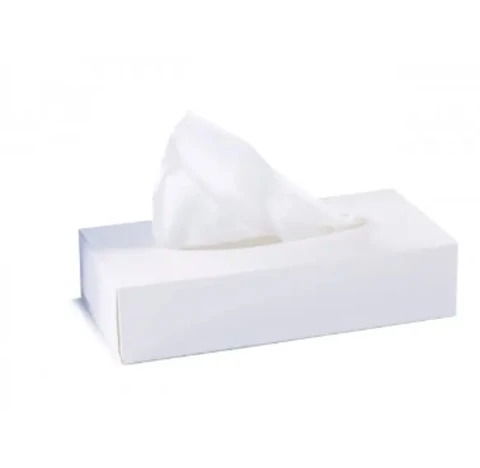 Серветки паперові 2-х шарові Parus, 100 шт/уп.