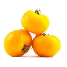 Помідор жовтий