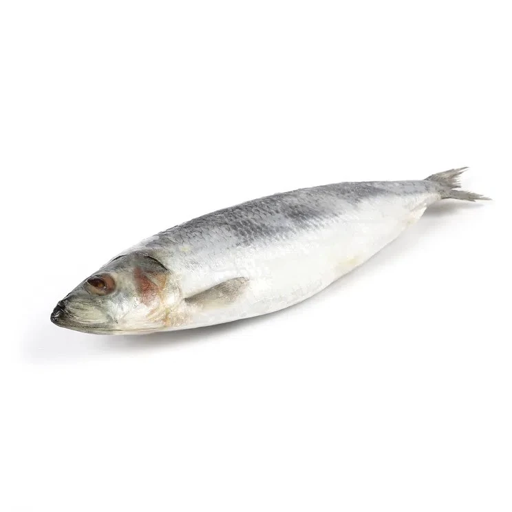 Оселедець свіжомороженний 300+ Global Floro, 100г