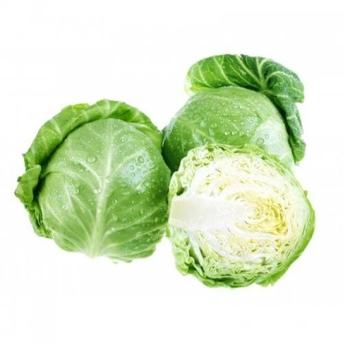 Капуста молода
