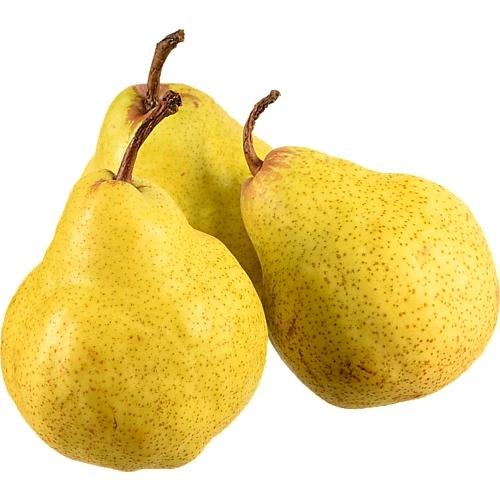 Груша Packham