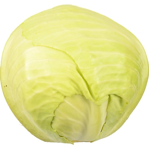 Капуста білокачанна