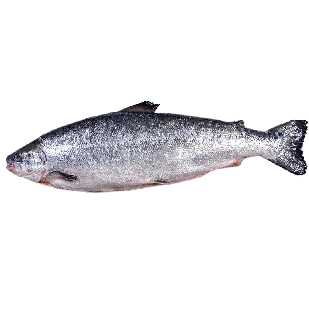 Лосось (Сьомга) Тушка