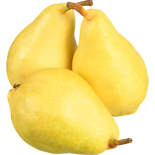 Груша Санта Марія