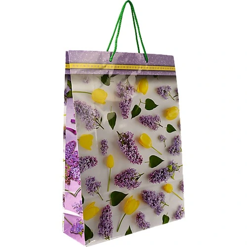 Пакет паперовий ПБС 450х320х110