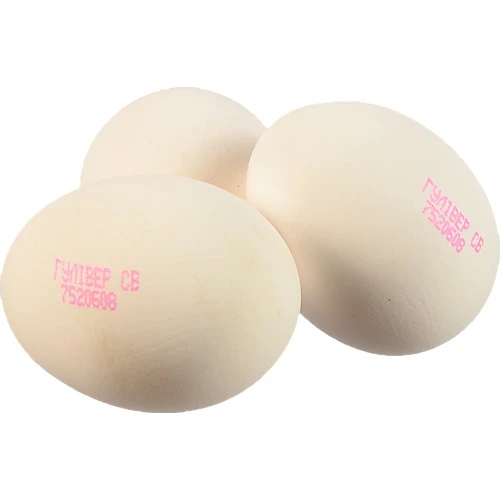 Яйце куряче Гулівер