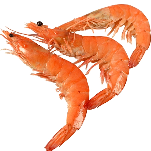 Креветка білонога 20.40