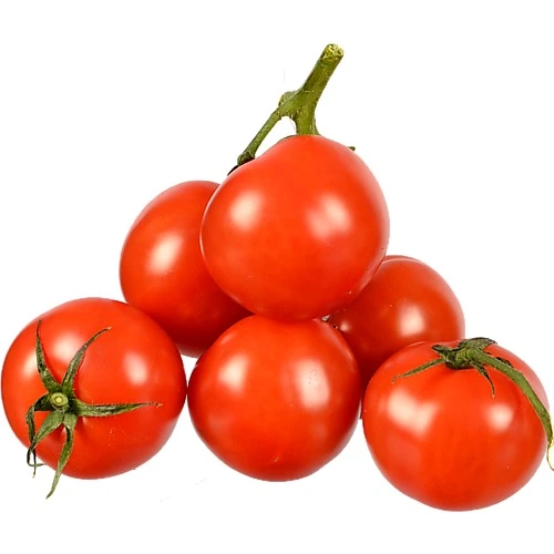 Помідори Україна коктейль на гілці