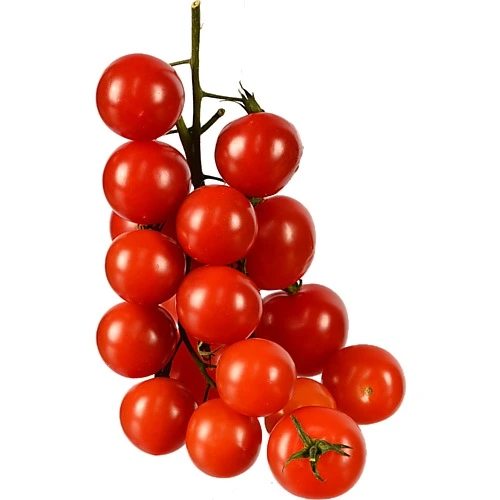 Помідори Україна Черрі на гілці