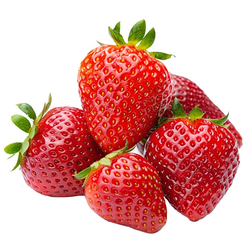 Полуниця фермерська