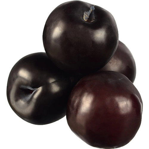 Слива чорна