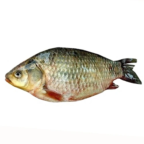 Охолоджений карась