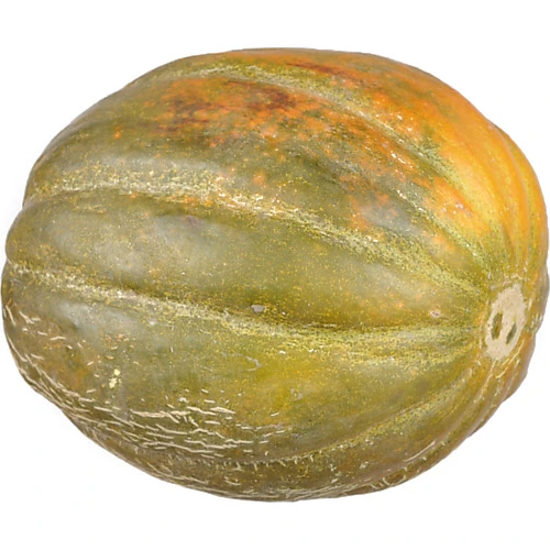 Диня Україна