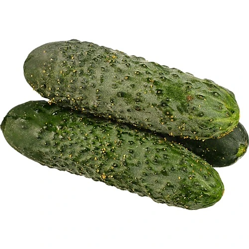 Огірок фермерський