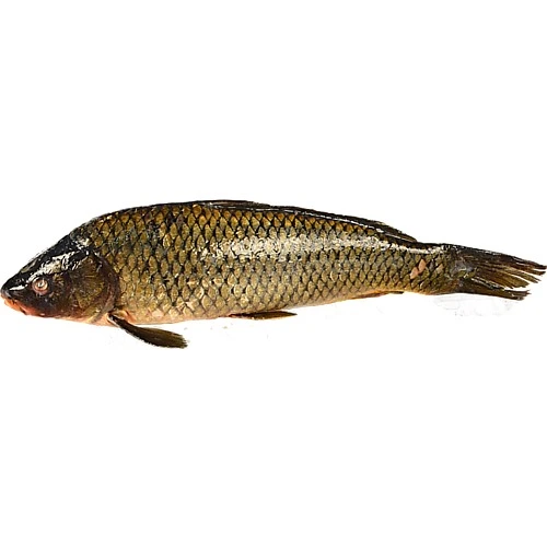 Короп середній