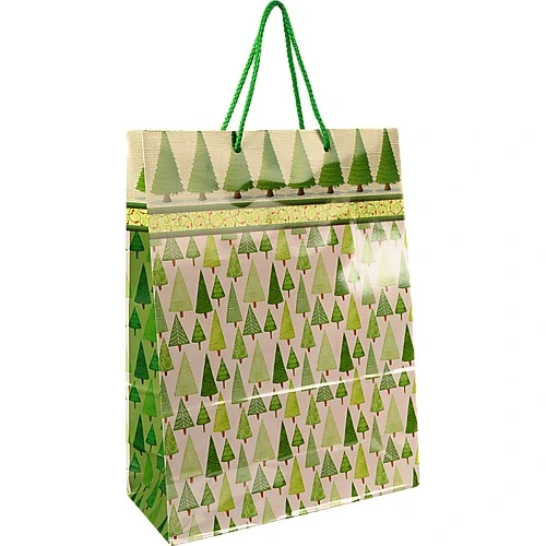 Пакет паперовий ПБС 380х280х120