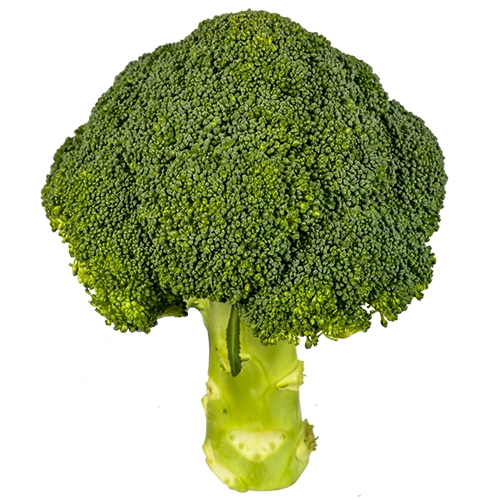 Капуста броколі