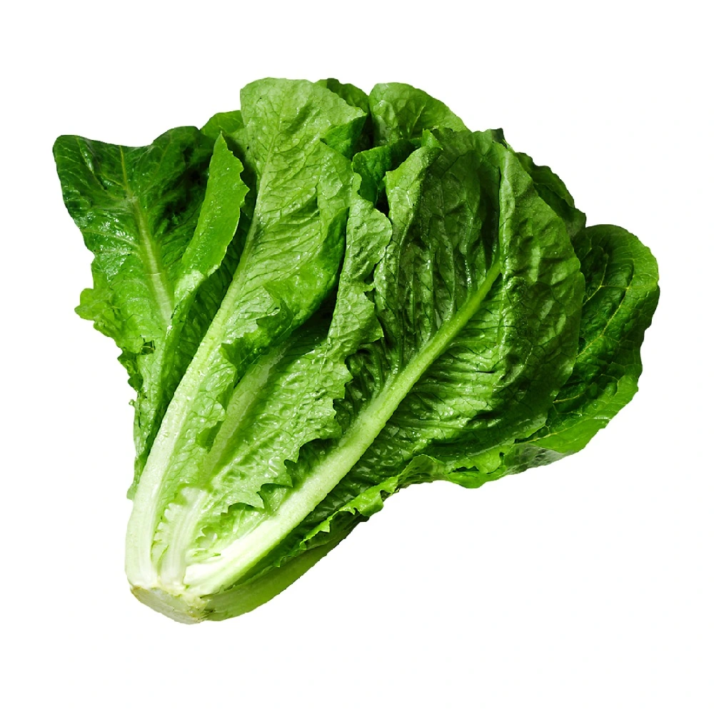 Салат Ромен