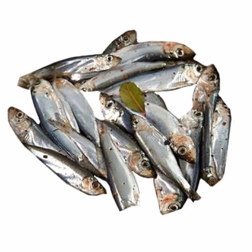 Кілька Волков п.п