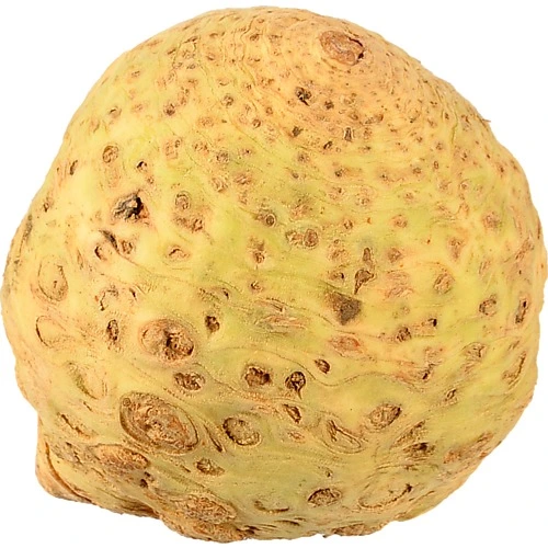 Корінь селери