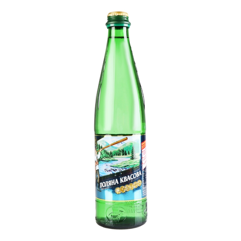 Вода мінеральна сильногазована Поляна Квасова с/пл 0.5л
