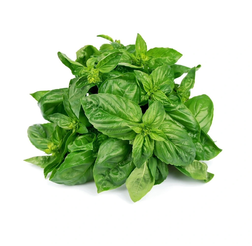 Базилік перцевий 30 г