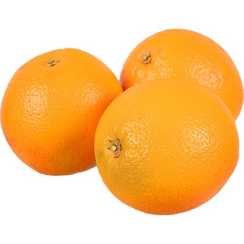 Апельсин Єгипетський