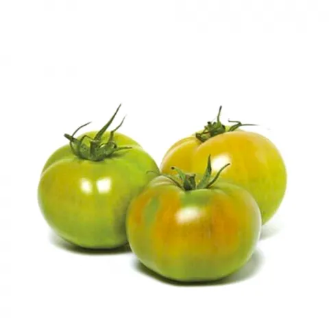 Помідор вага (Україна) зелена