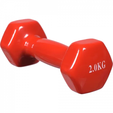 Гантеля з вініловим покриттям 2 кг арт. 80040 И266