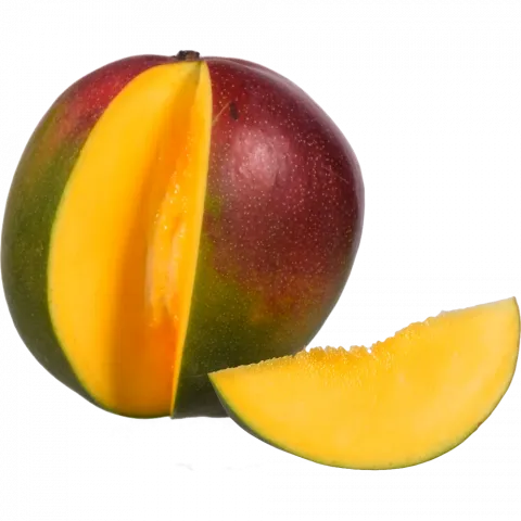 Манго Еліт` шт.`