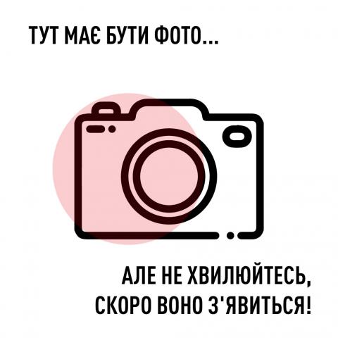 Сумка ізотермічна 29х29х20 см арт. 16739-3 И950